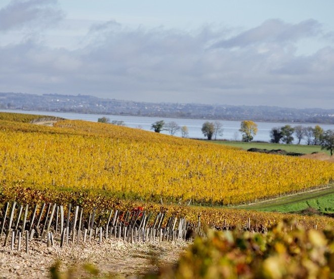 Overlooking the Gironde